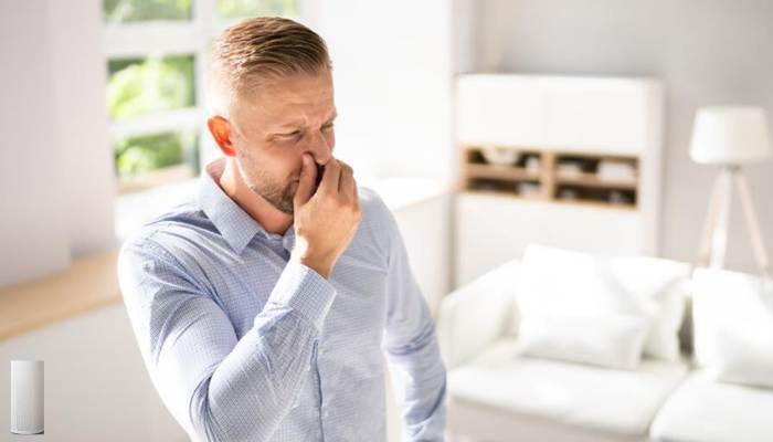 Does air purifier remove musty smell