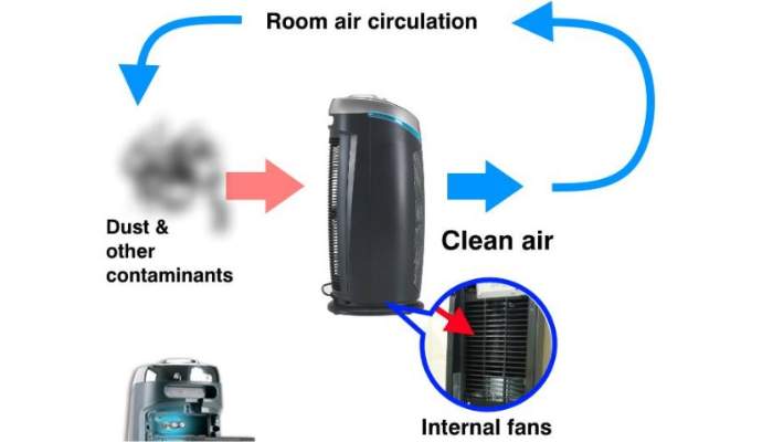 why are air purifiers important