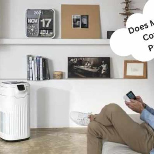 Does Medicare Cover Air Purifiers? Find Out Now