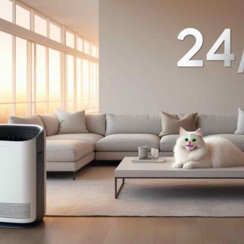 Should I Run My Air Purifier 24/7