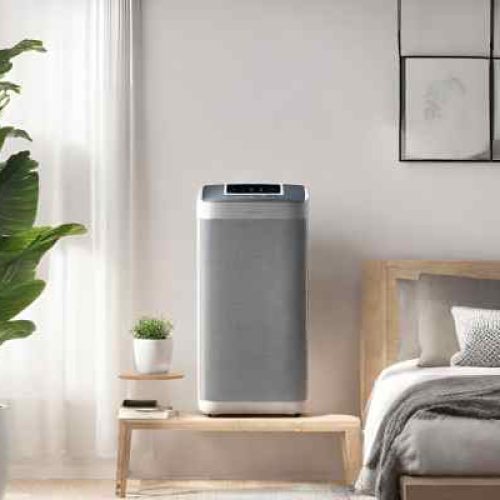 Clearing the Air: Understanding the Essential Role of Air Purifiers in Your Home