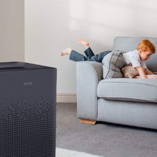 What is the Function of Air Purifiers | Essential Insights for Living